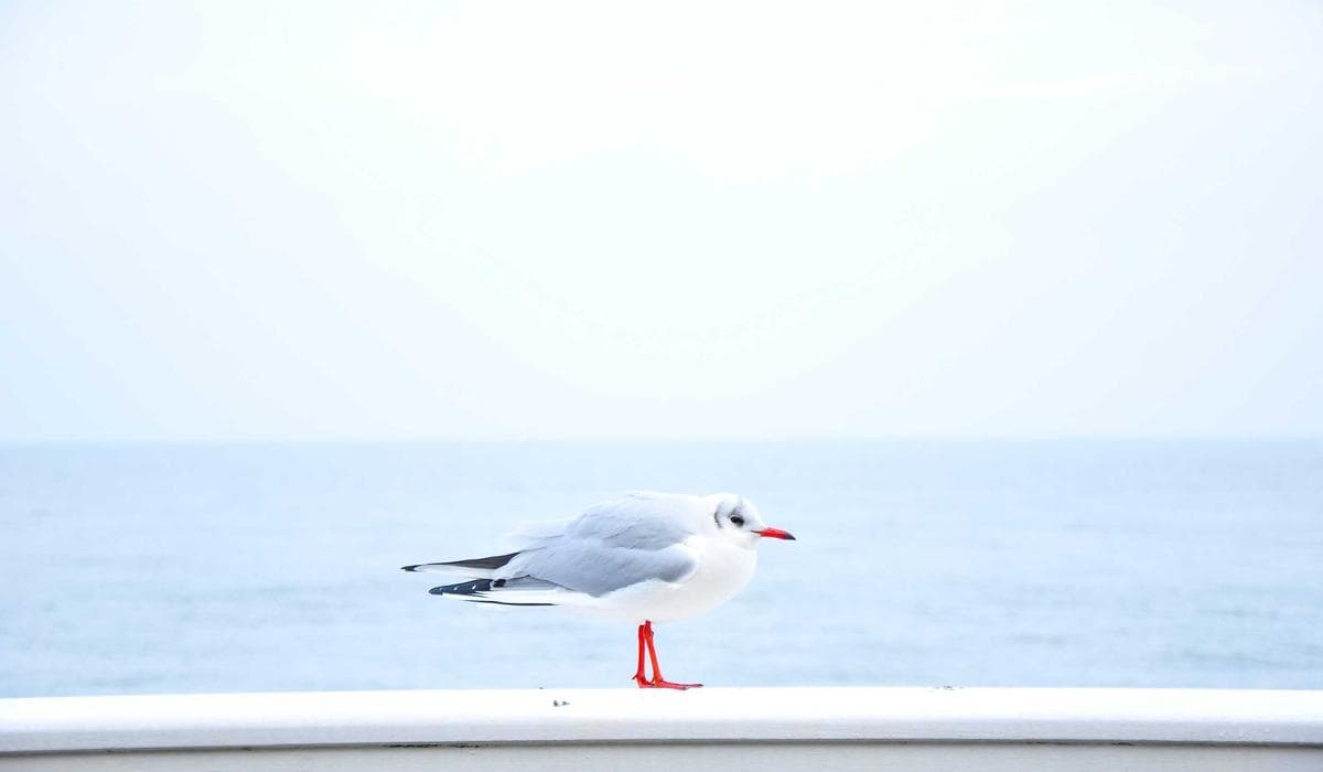 Thủ tục đăng ký cư trú cho người mới đến Đức